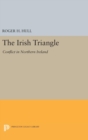 The Irish Triangle : Conflict in Northern Ireland - Book