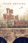 The Walls of Lucca - Book