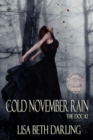 Cold November Rain - Book