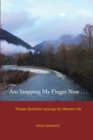Am Stopping My Finger Now : Tibetan Buddhist musings for Western life - Book