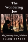 The Wondering Jew My Journey Into Judaism - Book
