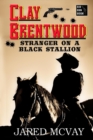 Stranger on a Black Stallion - Book
