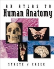 An Atlas To Human Anatomy by Strete/Creek - Book