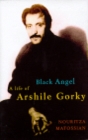 Black Angel : The Life of Arshile Gorky - Book