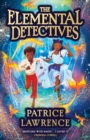 The Elemental Detectives - Book