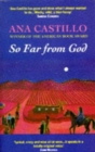So Far from God - Book