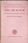 Son am Achub : Ysgrifau ar Ddiwinyddiaeth yr Hen Destament - Book