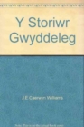 Y Storiwr Gwyddeleg - Book