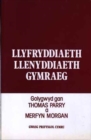 Llyfryddiaeth Llenyddiaeth Gymraeg : Bibliography of Welsh Literature - Book