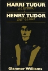 Harri Tudur a Chymru : Henry Tudor and Wales - Book
