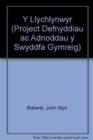 Y Llychlynwyr - Book