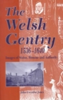 The Welsh Gentry, 1536-1640 : Images of Status, Honour and Authority - Book