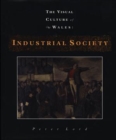 Industrial Society : The Visual Culture of Wales - Book