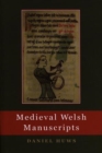 Medieval Welsh Manuscripts - Book