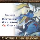 Y Gymru Ddiwydiannol : Diwylliant Gweledol Cymru - Book