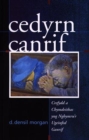 Cedyrn Canrif : Crefydd a Chymdeithas Yng Nghymru'r Ugeinfed Ganrif - Book