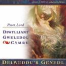 Delweddu'r Genedl : Diwylliant Gweledol Cymru - Book