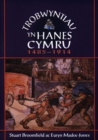Trobwyntiau Yn Hanes Cymru - Book