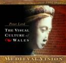 Medieval Vision - Book