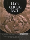 Llyn Cerrig Bach : A Study of the Copper Alloy Artefacts from the Insular La Taene Assemblage - Book