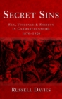 Secret Sins : Sex, Violence and Society in Carmarthenshire 1870-1920 - Book