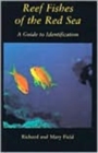 Reef Fish Of The Red Sea : A Guide to Identification - Book
