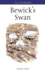Bewick's Swan - Book