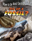 Dig Up a Fossil? - eBook