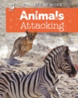 Animals Attacking - eBook