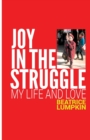 Joy In the Struggle - Book