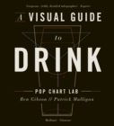 A Visual Guide to Drink - Book