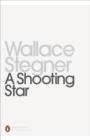 A Shooting Star - eBook