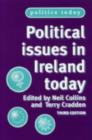 Political Issues in Ireland Today - Book