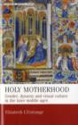 Holy Motherhood : Gender, Dynasty and Visual Culture in the Later Middle Ages - Book