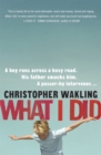 What I Did - Book