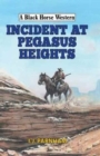Incident at Pegasus Heights - Book