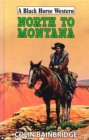 North to Montana - eBook