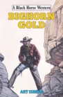 Bighorn Gold - eBook