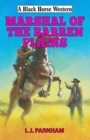 Marshal of the Barren Plains - Book