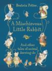 A Mischievous Little Rabbit - Book