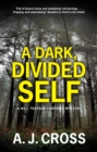A Dark, Divided Self - Book