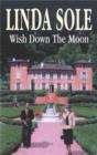 Wish Down the Moon - Book