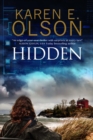 Hidden: First in a New Mystery Series - Book