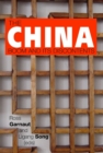 China Boom and its Discontents - Book