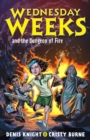 Wednesday Weeks and the Dungeon of Fire : Wednesday Weeks: Book 3 - eBook