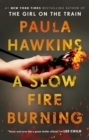 Slow Fire Burning - eBook