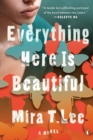 Everything Here Is Beautiful - Book