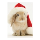 Santa Bunny Notecards - Book