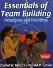 Essentials of Team Building : Principles and Practices - Book