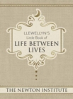 Llewellyn's Little Book of Life Between Lives - Book